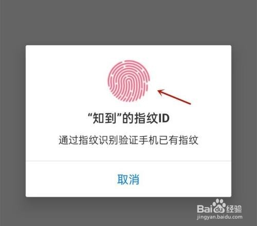 知到怎么开启指纹识别