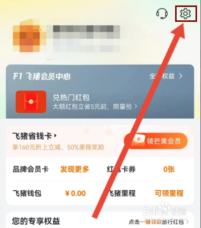 如何查看飞猪旅行的证照信息
