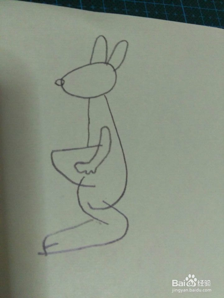简笔画---袋鼠