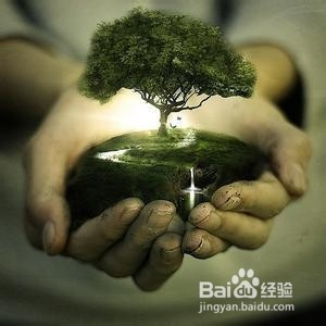 生命的意义所在