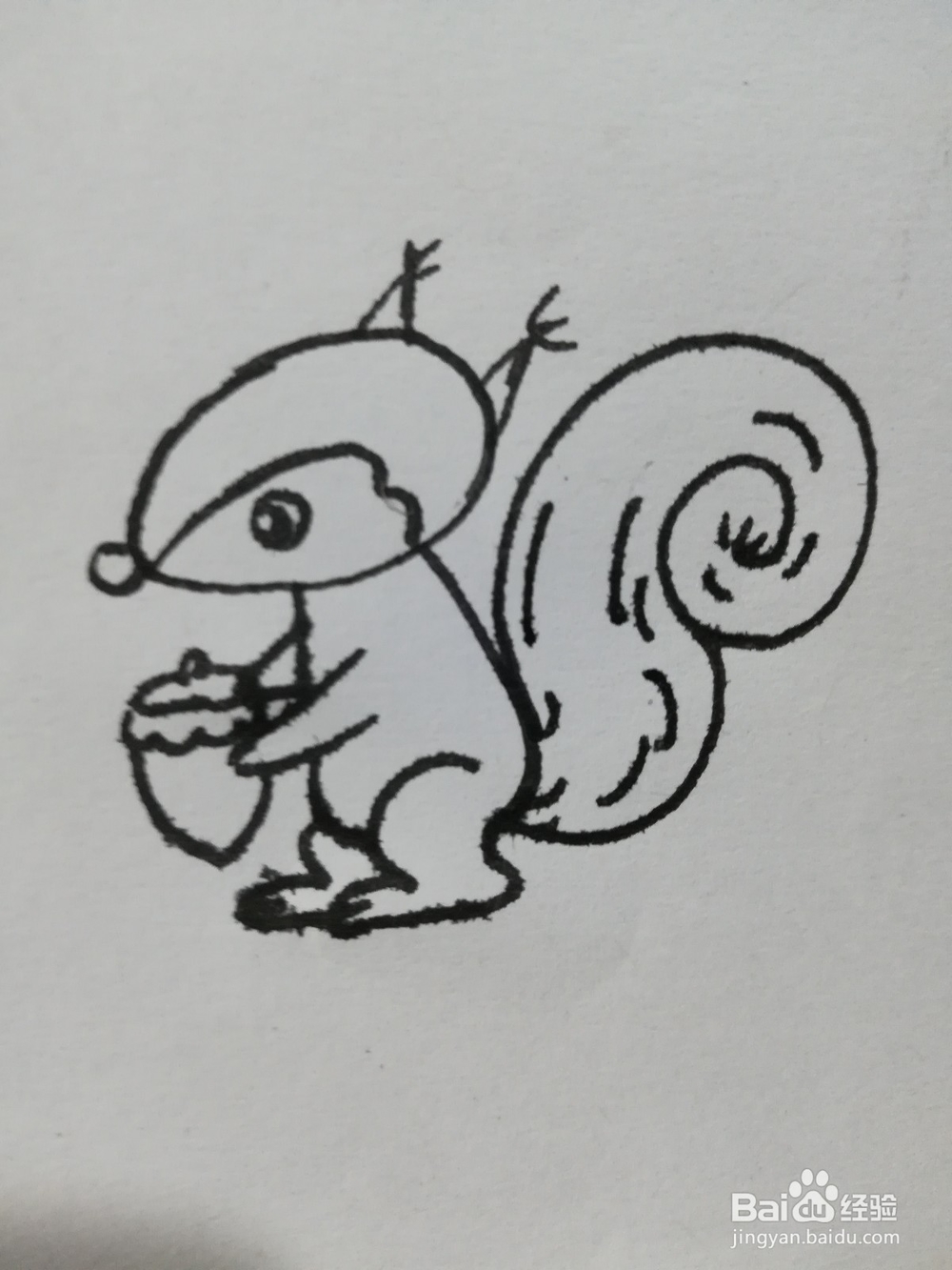 怎么画可爱的小松鼠的简笔画呢