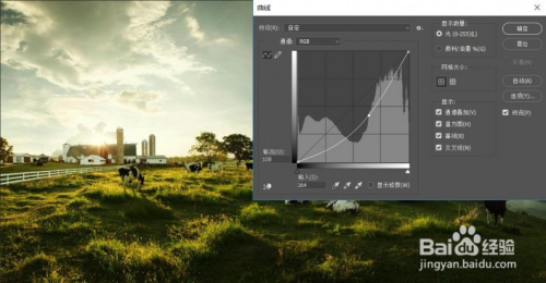 PS里曲线工具的使用技巧