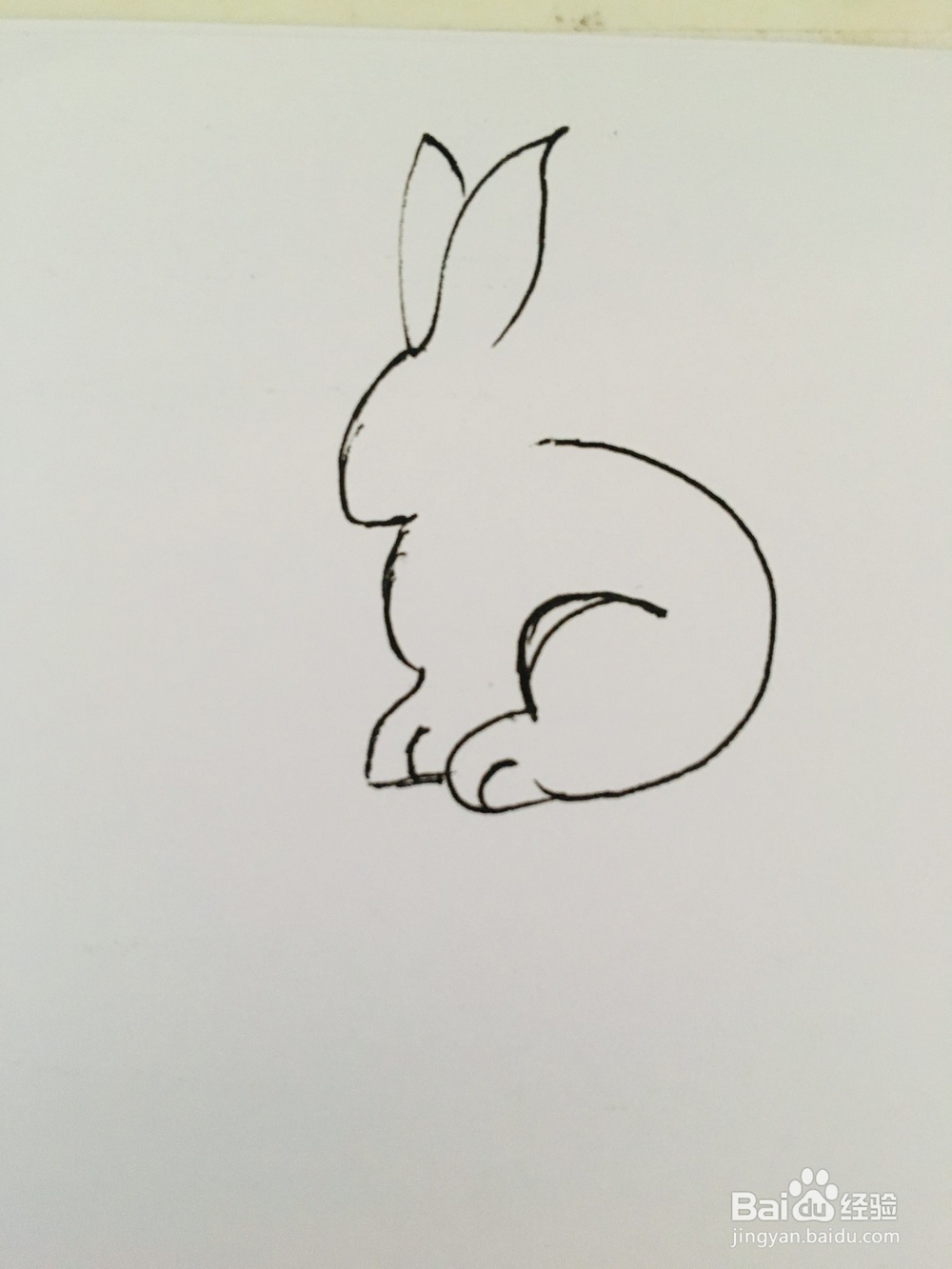 幼儿简笔画动物：小白兔的画法