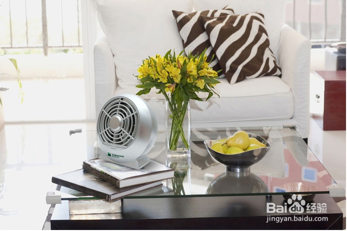 灭蚊灯有用吗？灭蚊灯原理