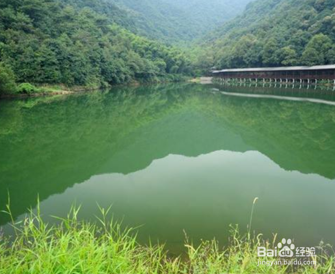 深秋怎么钓鲫鱼?秋季天冷什么水域适合钓鲫鱼?