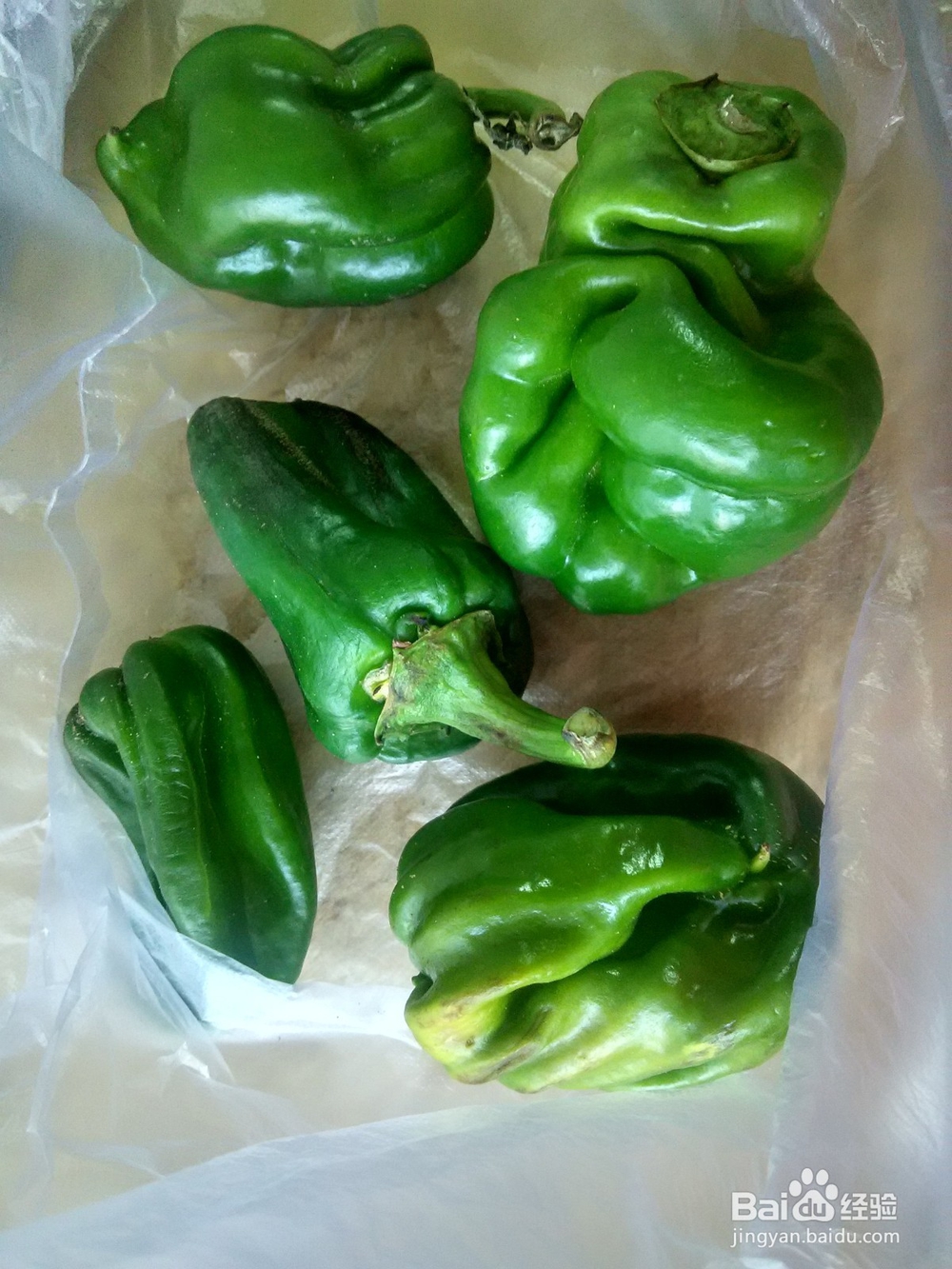 虾皮子鸡蛋炒麻椒