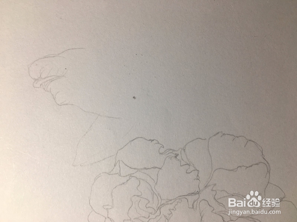 月季花的画法 月季简笔画 三朵月季的线描画教程