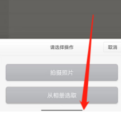 锤子便签如何在文章中添加图片
