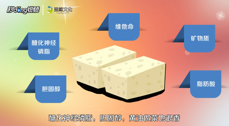黄油在哪里可以买到