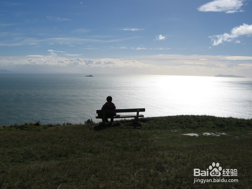 怎么样才能战胜孤独