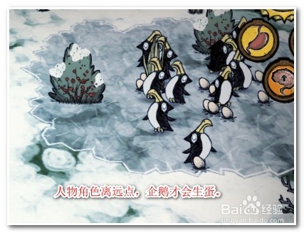 饥荒企鹅蛋怎么偷