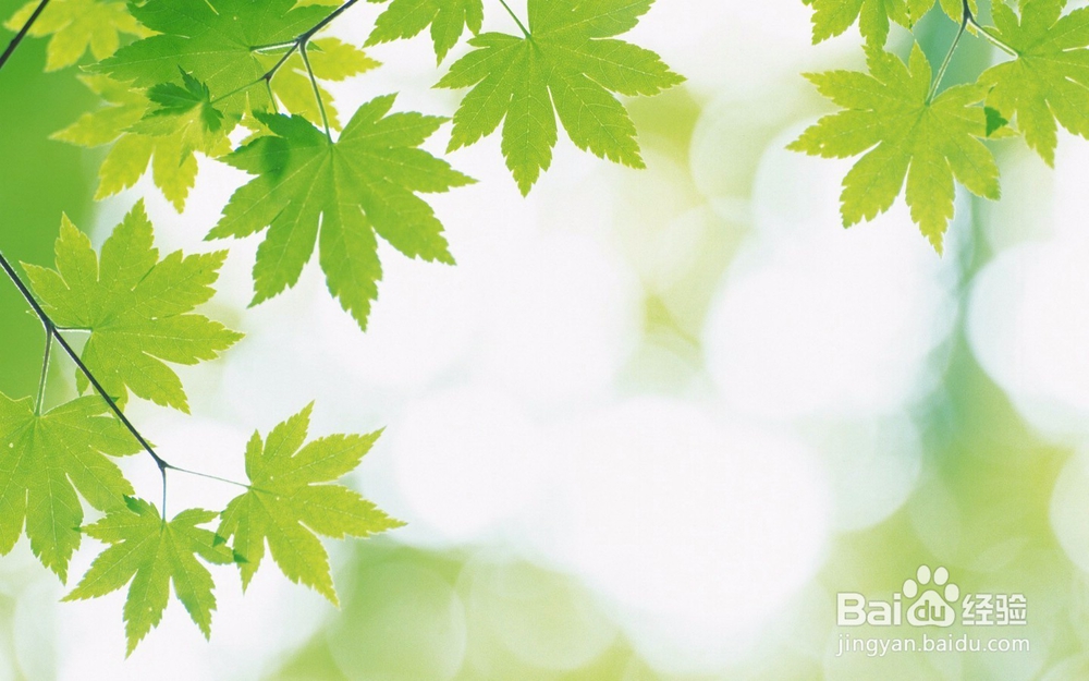 摄影摄像的技巧有哪些呢?