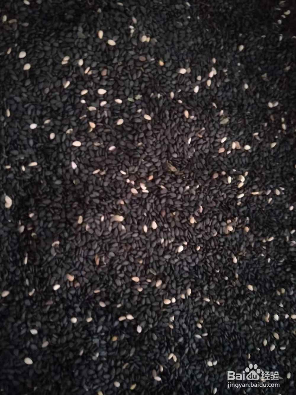 芝麻的营养价值以及吃芝麻的好处