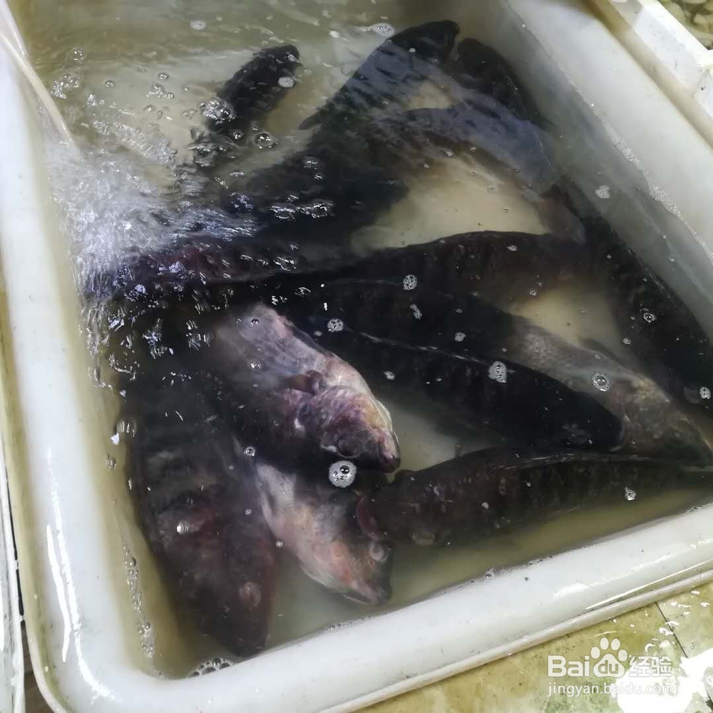 清蒸鱼的简单做法大全