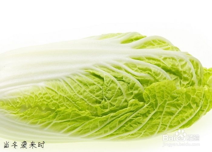 大白菜的营养与健康