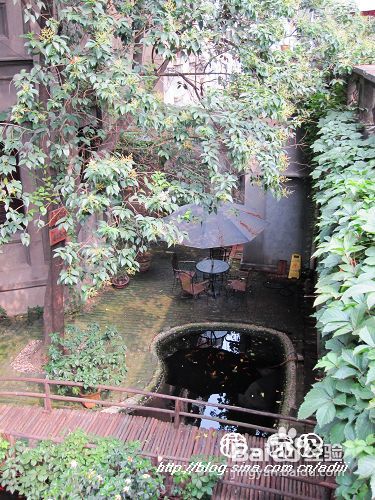 游. ;武汉——吴家花园,似是而非