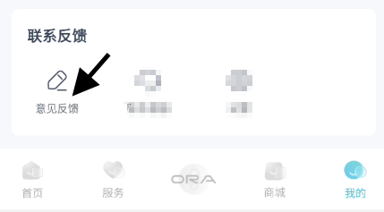 欧拉ORA车主如何反馈意见