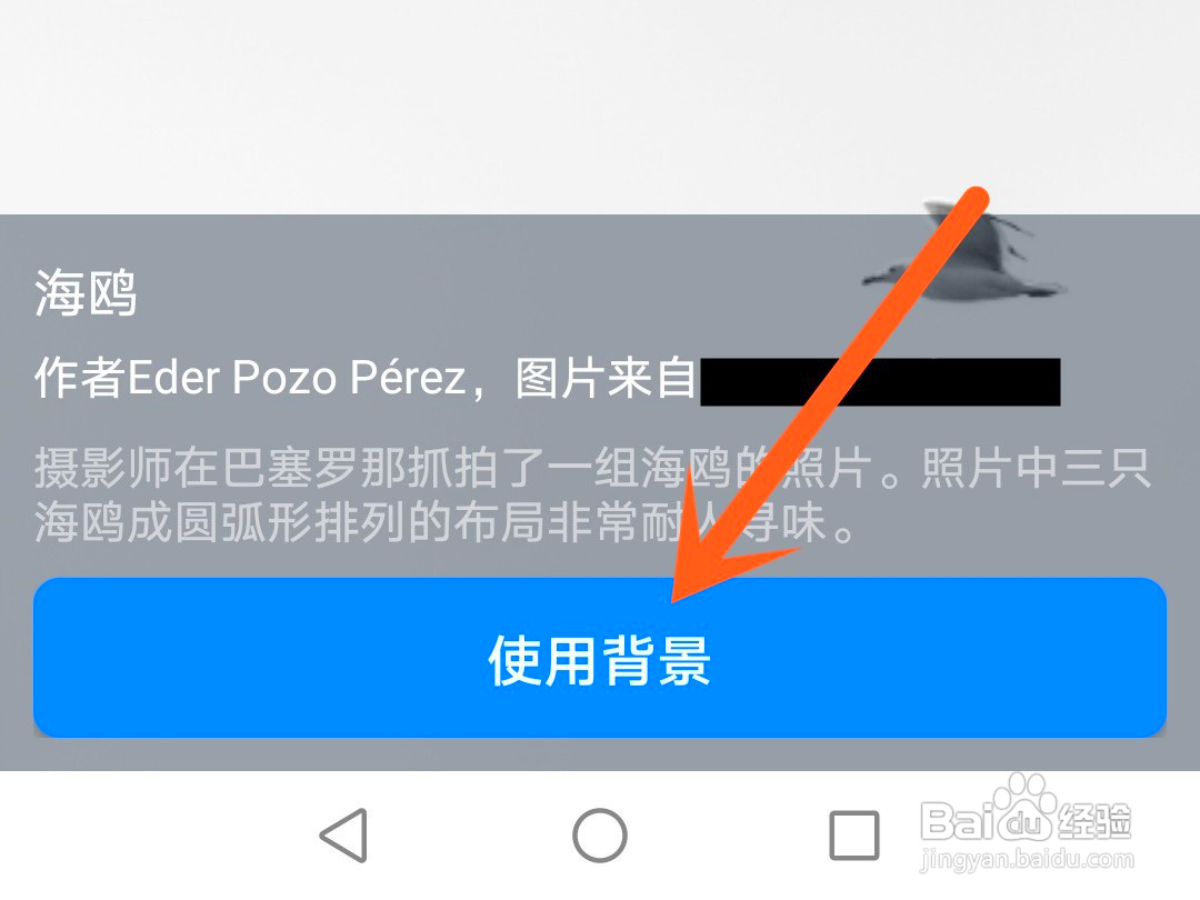 钉钉如何设置聊天背景