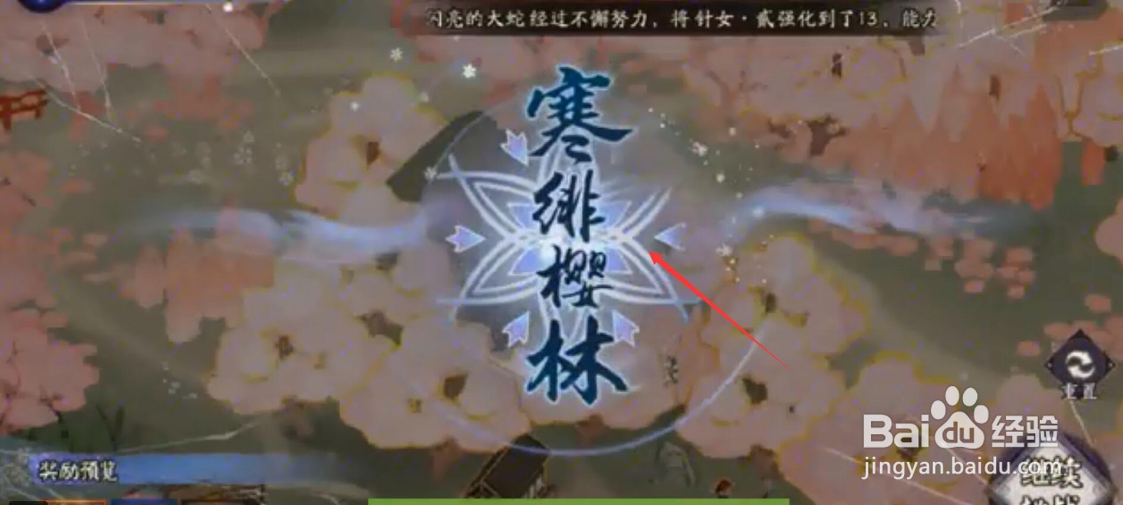 阴阳师寒绯怎么走