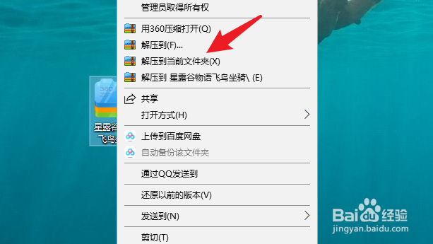 星露谷物语坐骑飞鸟怎么获得
