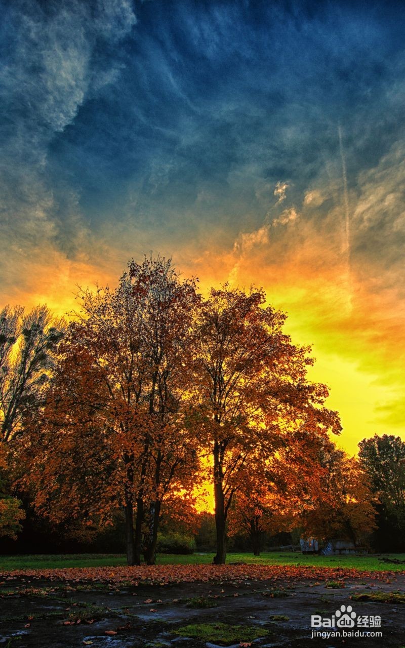 给女孩子的小建议