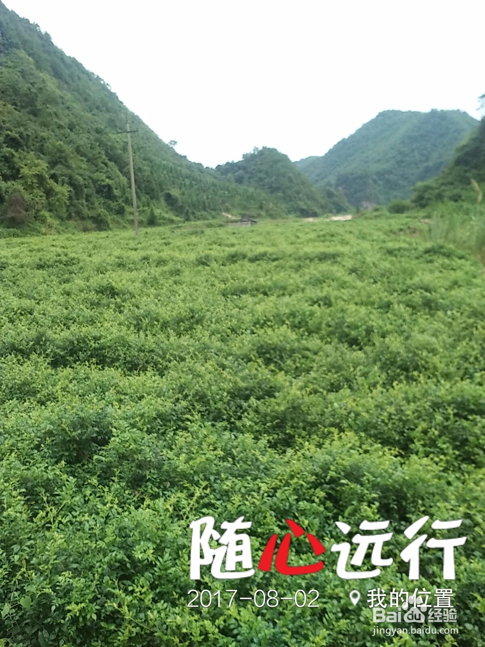 张家界罗塔坪一日游散记下
