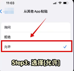 苹果手机如何允许粘贴
