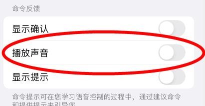 iPhone13怎样关闭播放声音
