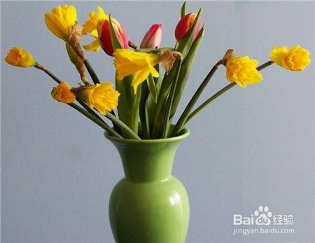 切花的延衰保鲜方法