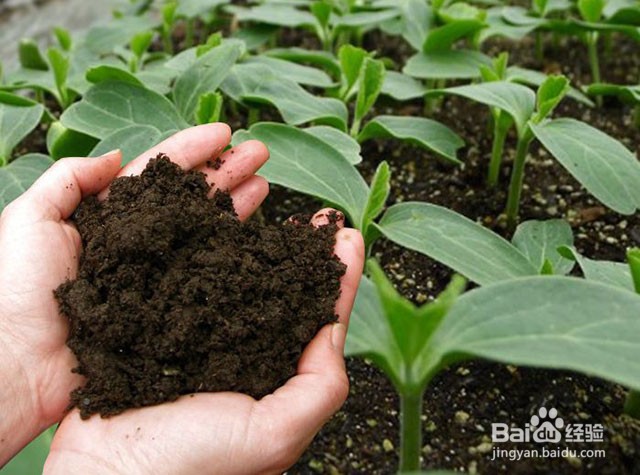 黄腐酸钾好用吗？黄腐酸钾防治土壤质地问题