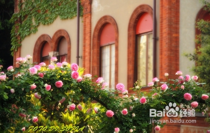 [转载]攀上梦的边缘开放