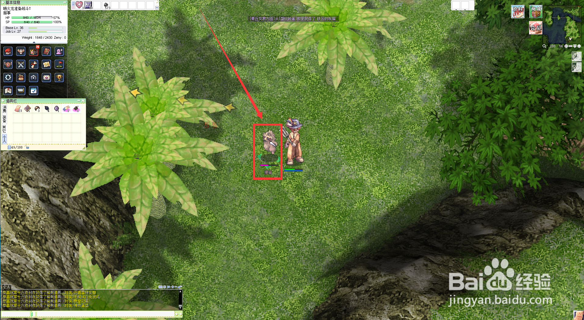 仙境传说RO狸猫在哪里打