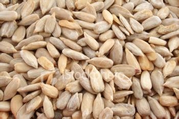 立冬时节调饮食