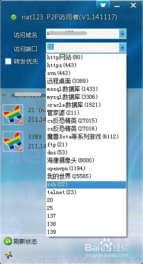 花生壳访问者是什么