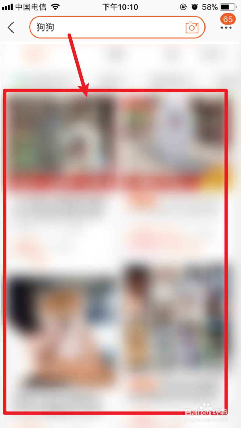 网上买狗狗怎么运送