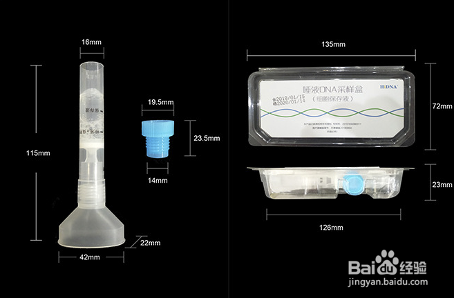 唾液采集器采集冠状病毒的使用方法