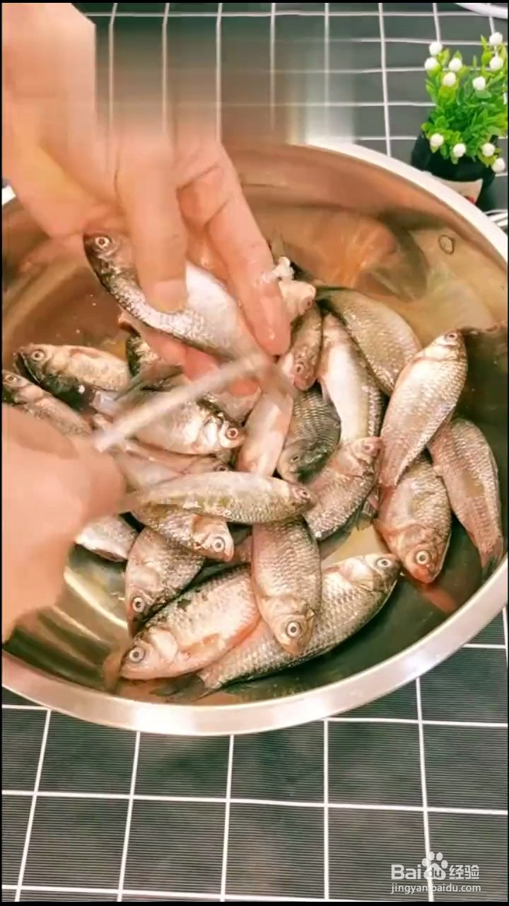 怎么做香煎小鲫鱼