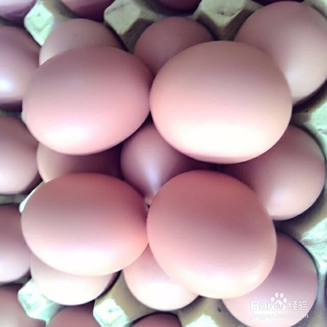 新鲜鸡蛋怎么挑选呢？