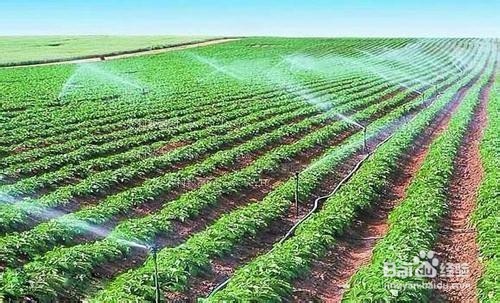 氨基酸水溶肥使用方法