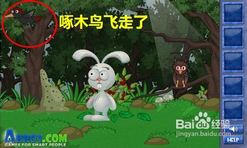 在线小游戏:聪明的兔子-猫头鹰关通关攻略