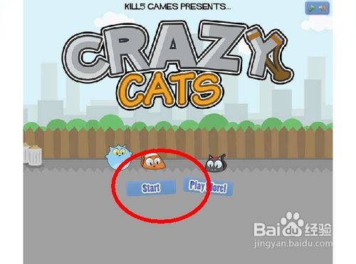 疯狂的小猫怎么玩呢？
