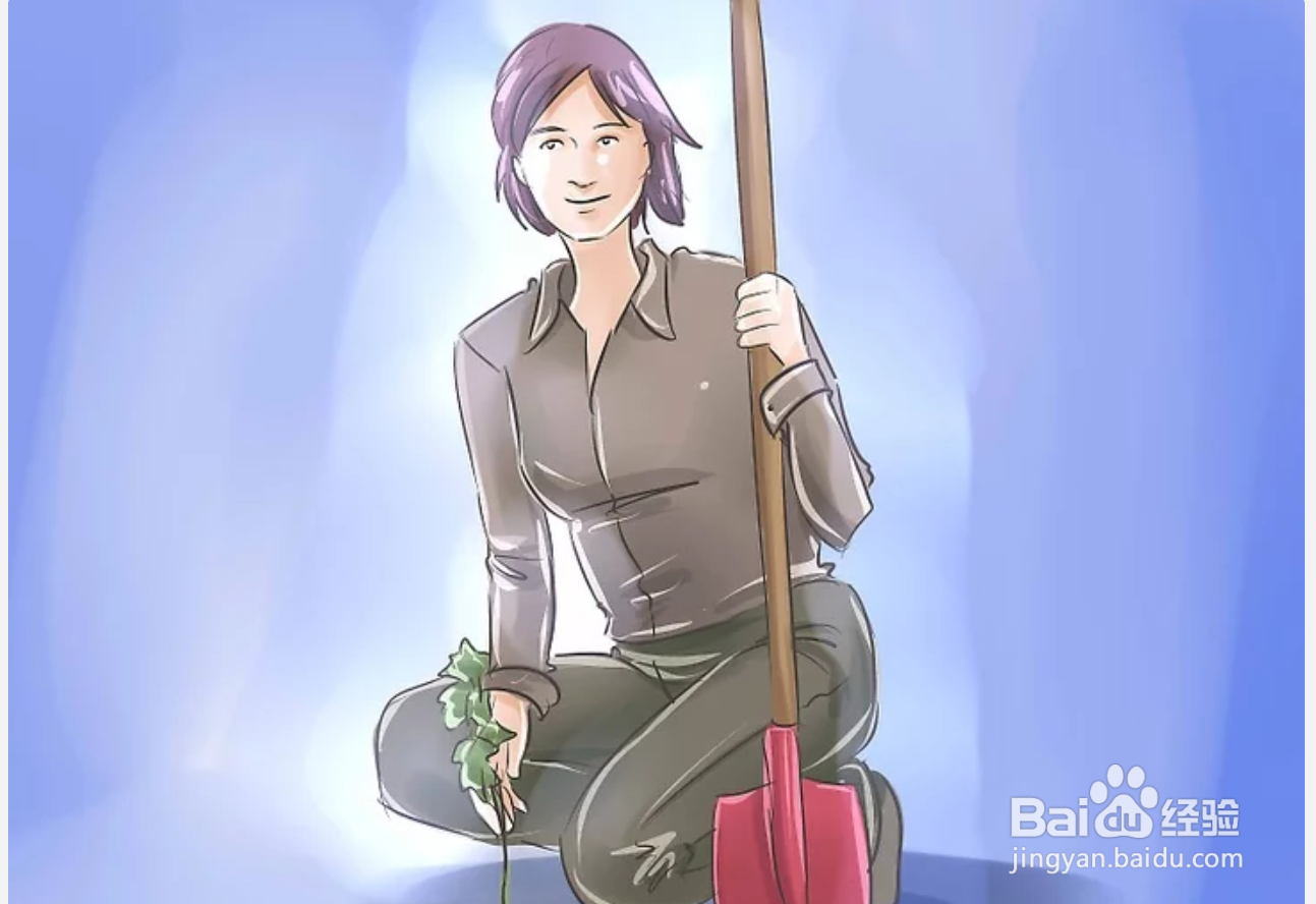如何庆祝结婚纪念日