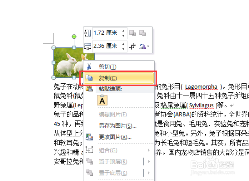 word2010教程之怎么把文字替换成图片