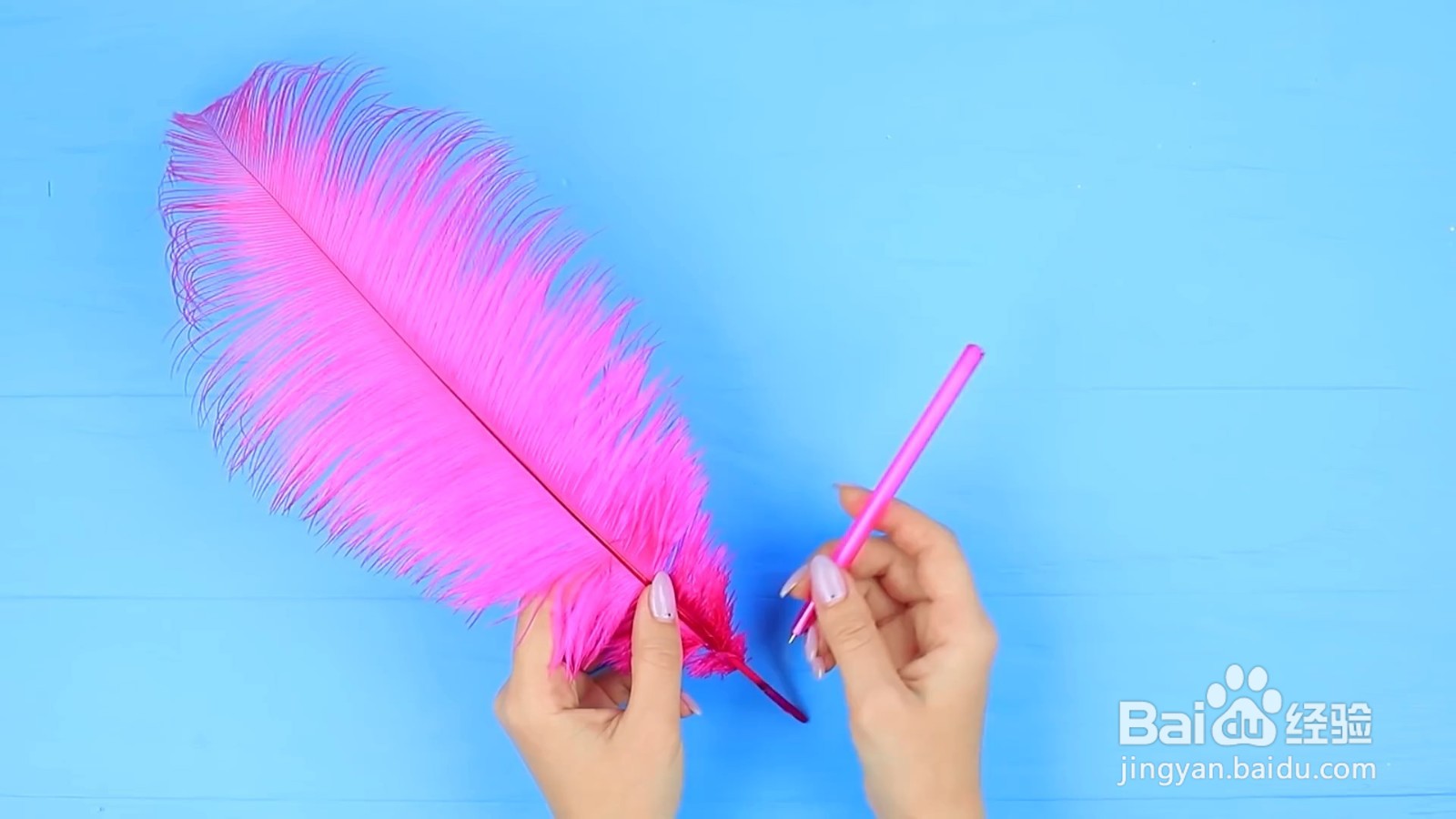 怎么制作一个羽毛笔
