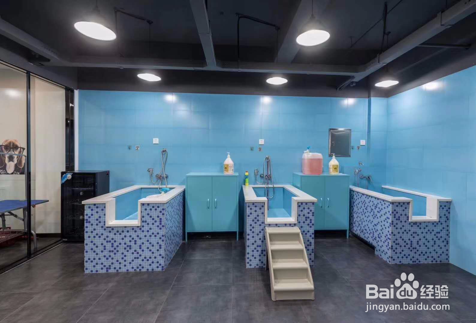 开一家宠物店现在还赚钱吗