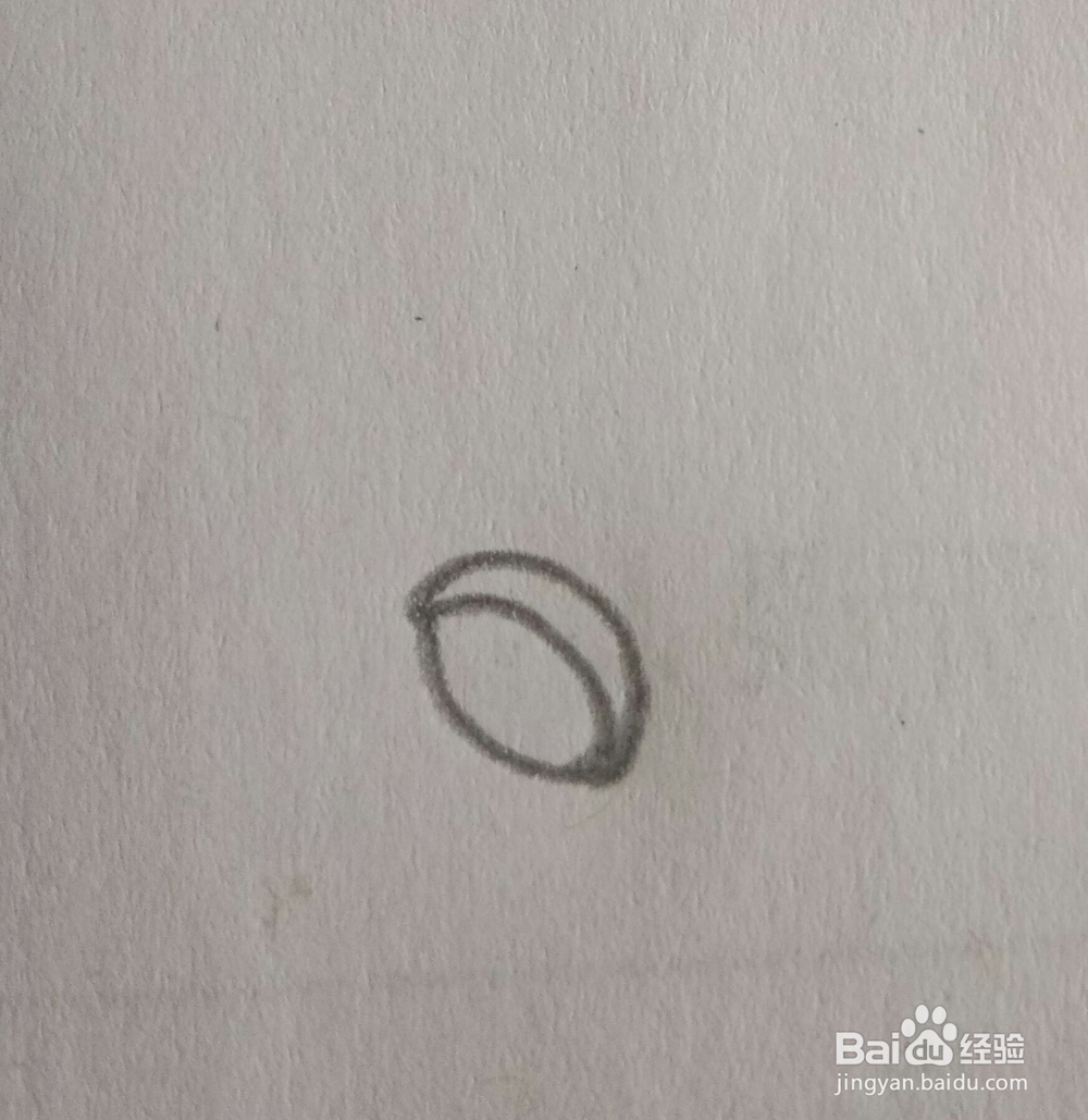 儿童简笔画白菜画法三