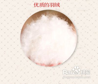 中老年羽绒服选购技巧