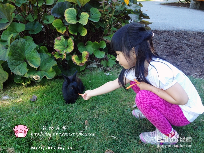 教你做吮指酒糟凤爪