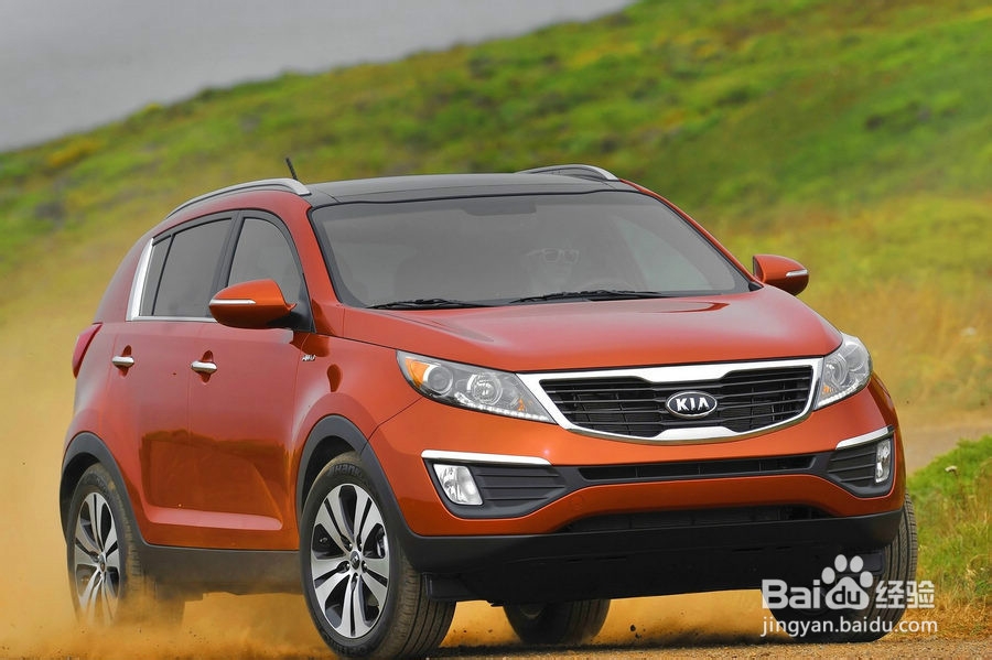 开车做到这12点 你想不省油都很难