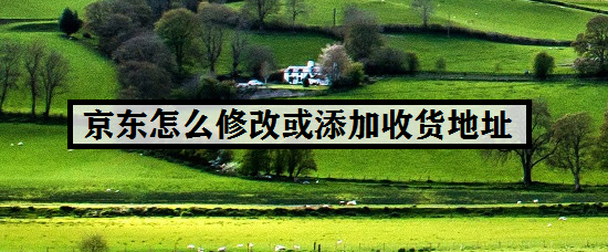 京东怎么修改或添加收货地址